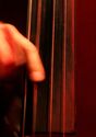 Ein Zufallsbild vom Bass eines Mitglieds von GEBA-online. Senden auch Sie ein Bild an info @ geba-online.de