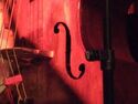 Ein Zufallsbild vom Bass eines Mitglieds von GEBA-online. Senden auch Sie ein Bild an info @ geba-online.de