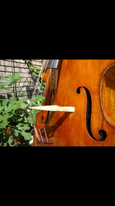 Klicken zum Vergrößern