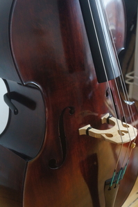 Klicken zum Vergrößern