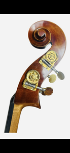 Klicken zum Vergrößern