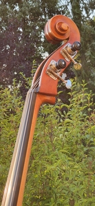 Klicken zum Vergrößern